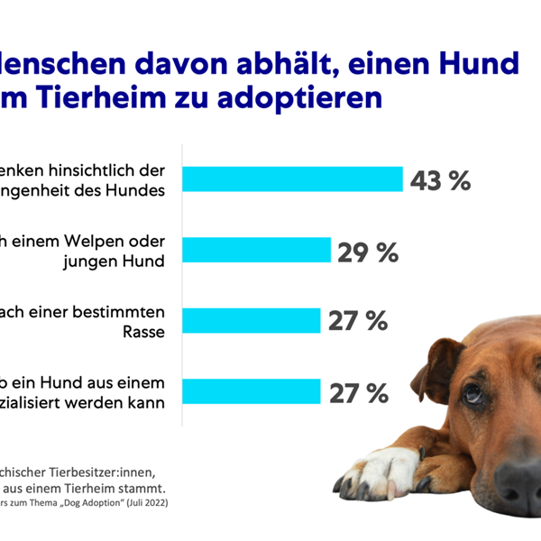 Infografik Dog Adoption