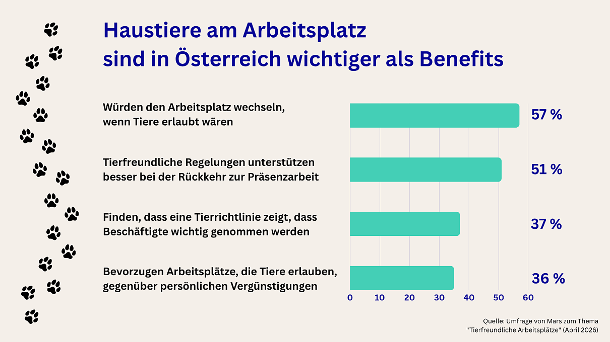 Tiere am Arbeitsplatz 2026
