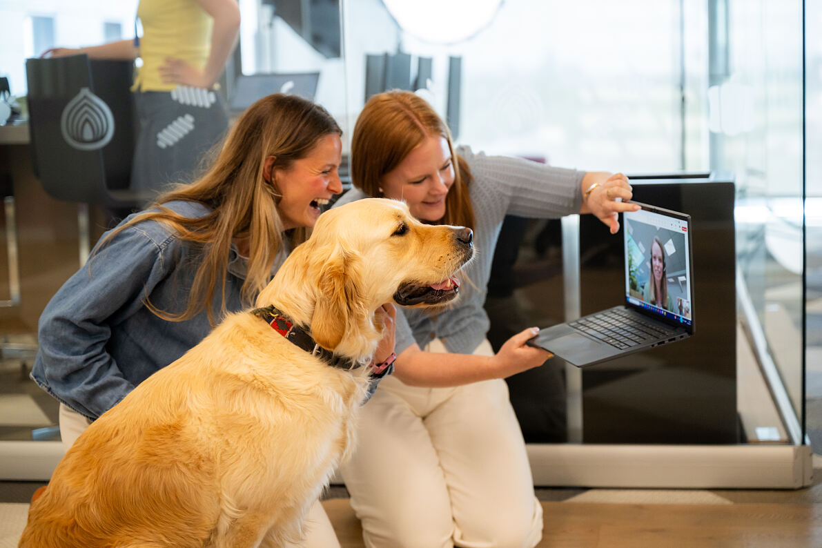Pets at work bei Mars in London