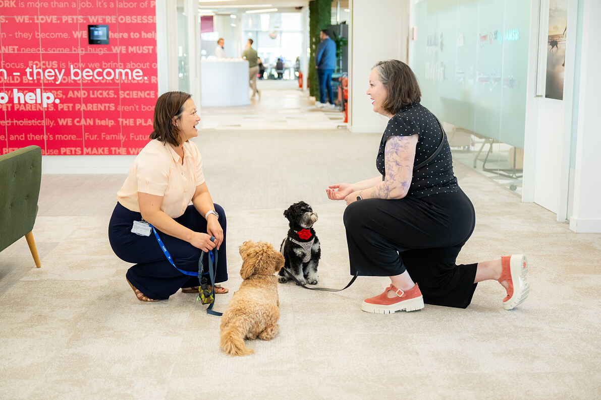 Pets at work bei Mars in London