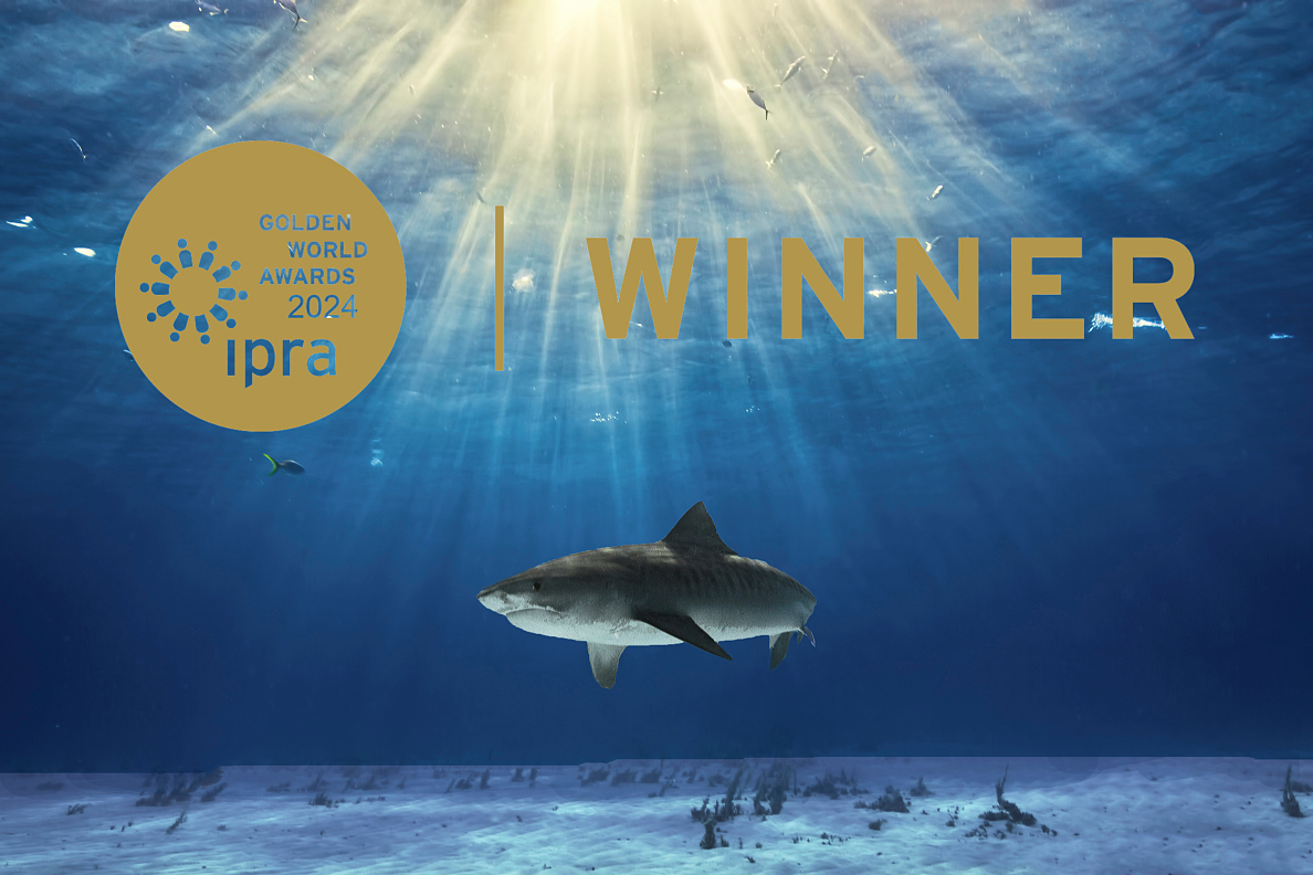 Sharkproject und Skills gewinnen IPRA Golden PR Award