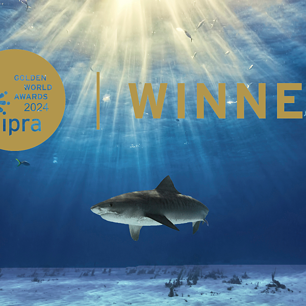 Sharkproject und Skills gewinnen IPRA Golden PR Award