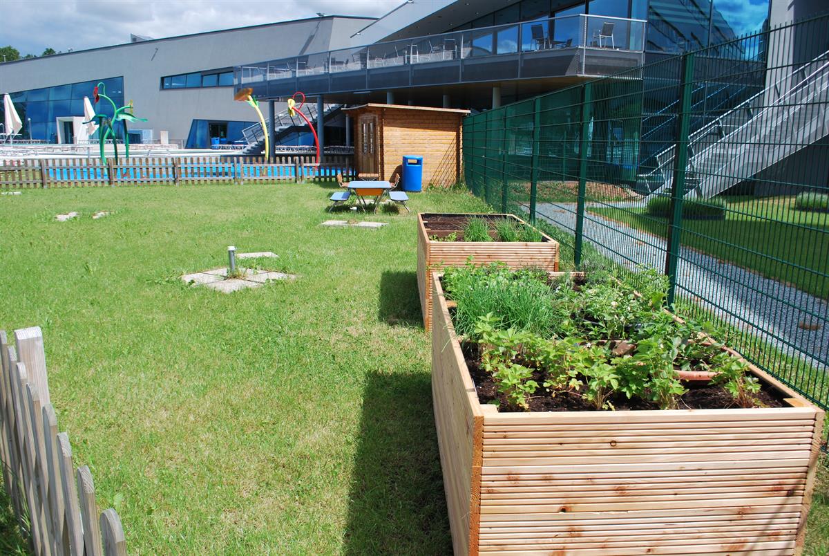 Urban Gardening für Kinder