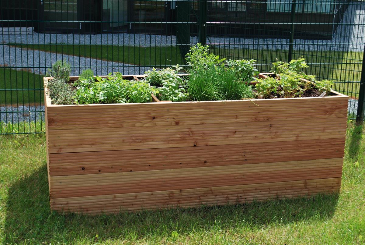 Urban Gardening für Kinder