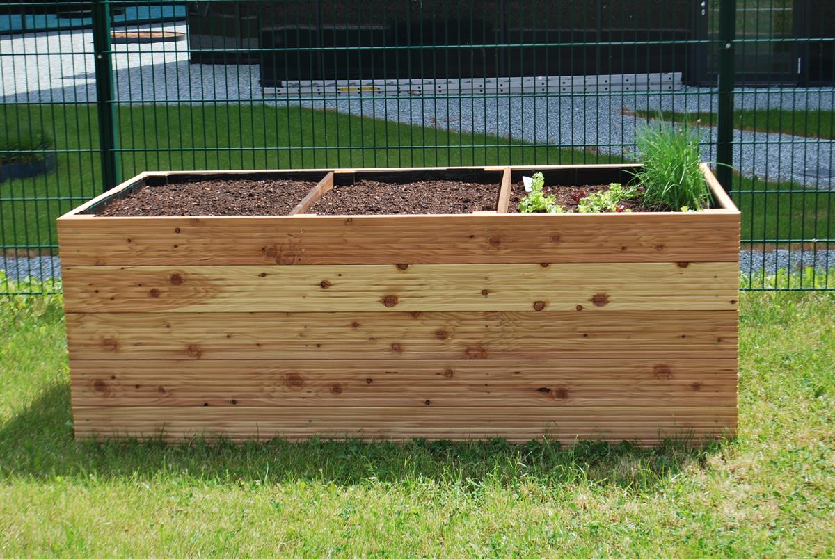 Urban Gardening für Kinder