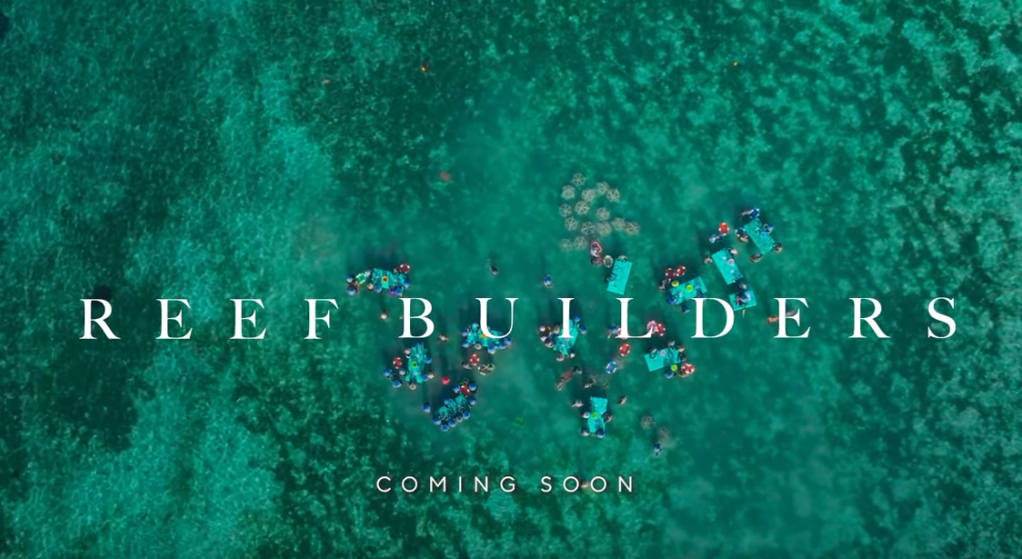 Dokumentation Reef Builders