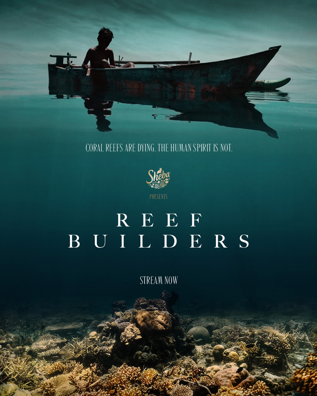 Poster Reef Builders
