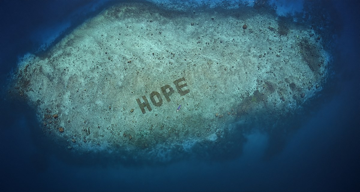 Das Sheba HOPE Reef