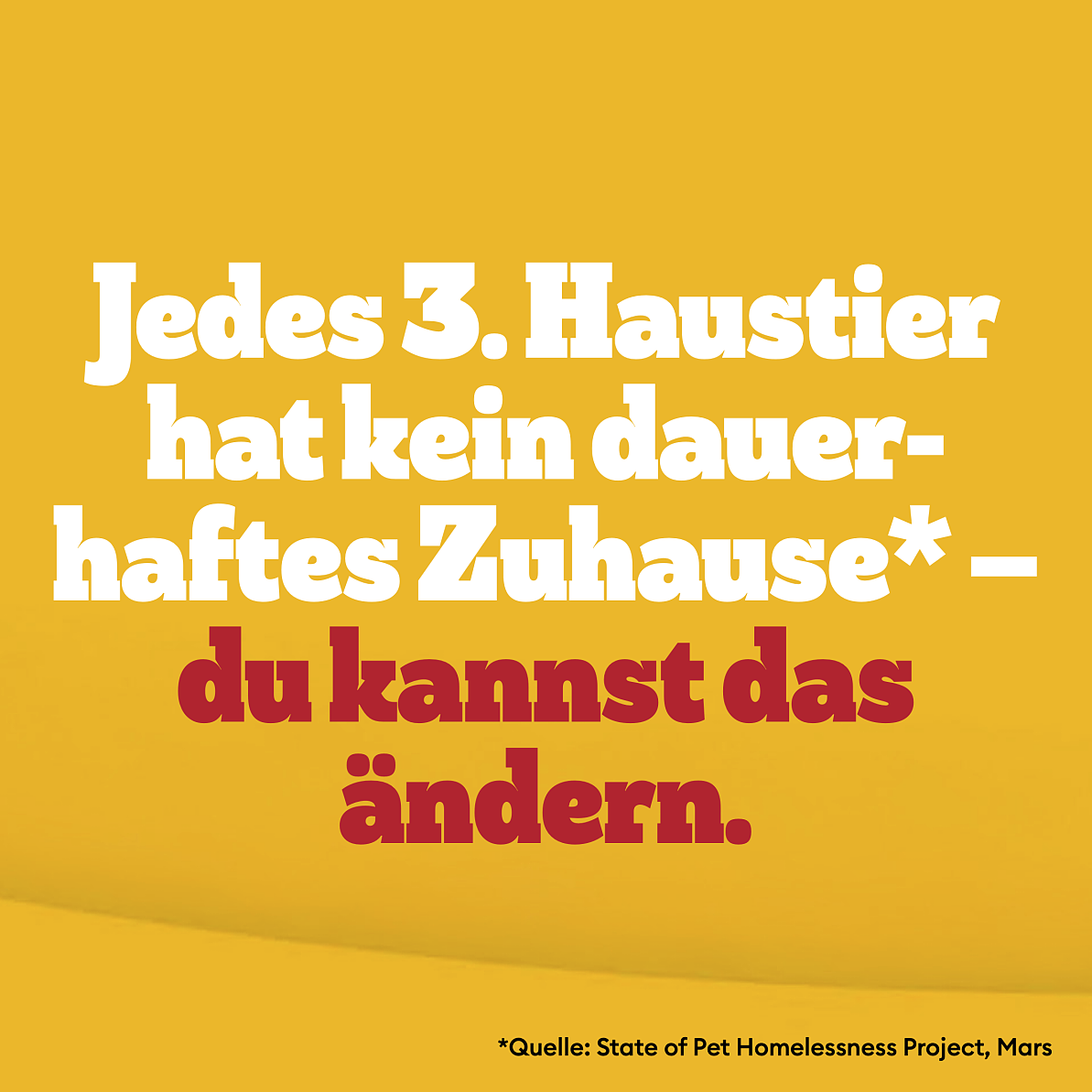 Tierschutztag 2025