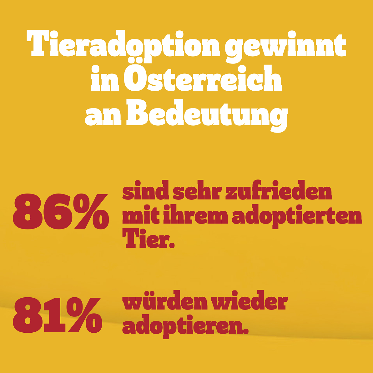 Tierschutztag 2025